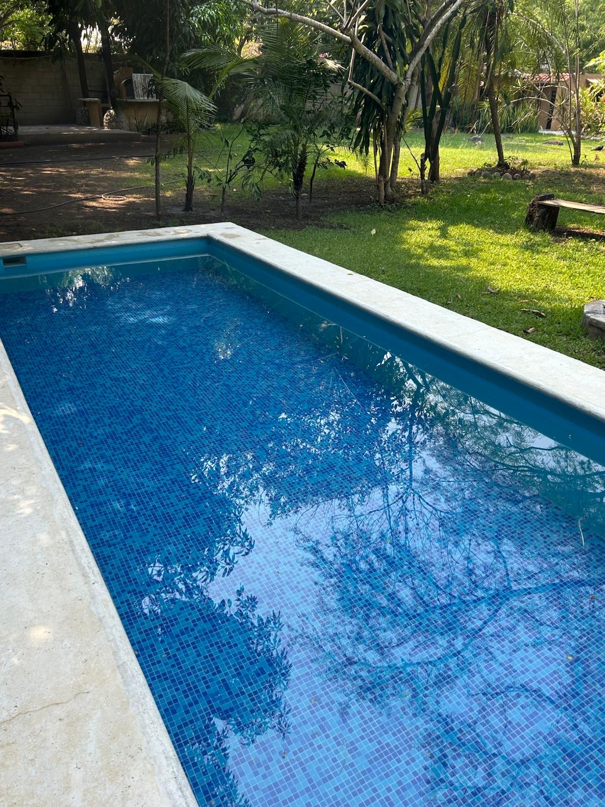 Alberca en jardín