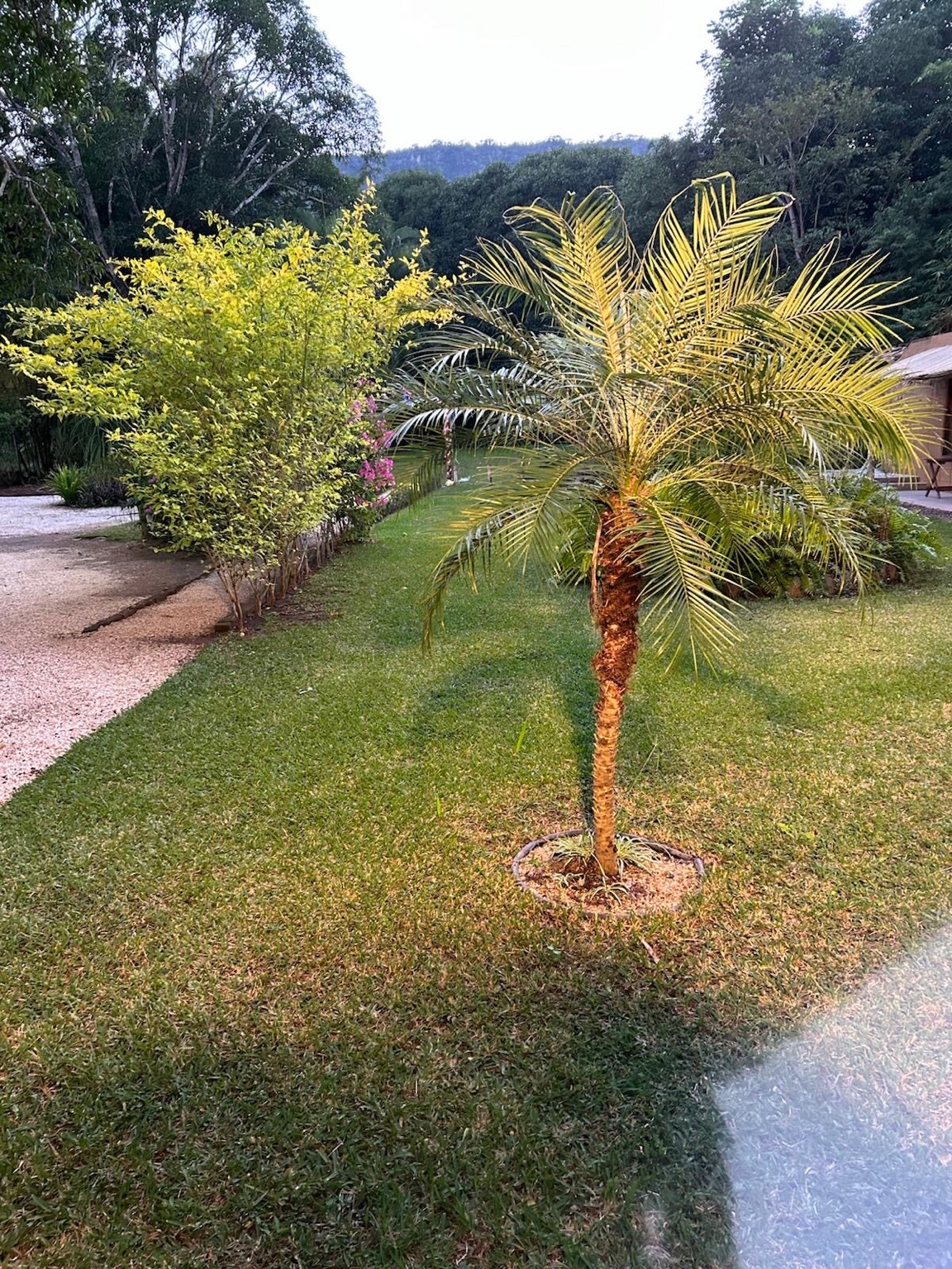 Cabañas entre jardín